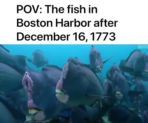 Boston Harbor after