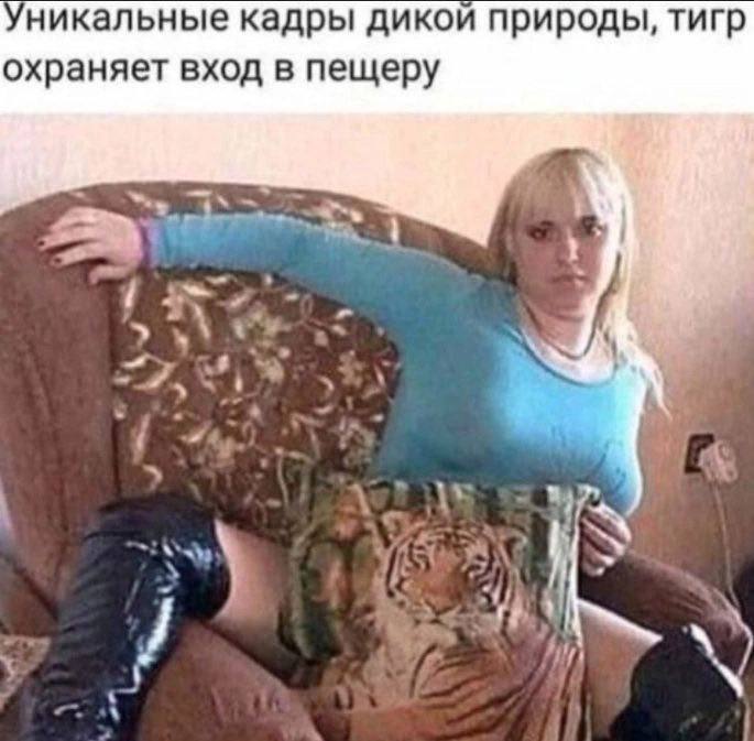 Уникальные кадры дикой природы, тигр охраняет вход в пещеру 1 2