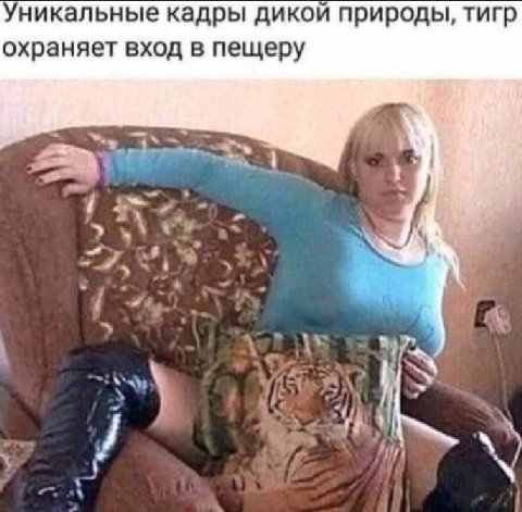 Уникальные кадры дикой природы, тигр охраняет вход в пещеру 1 2