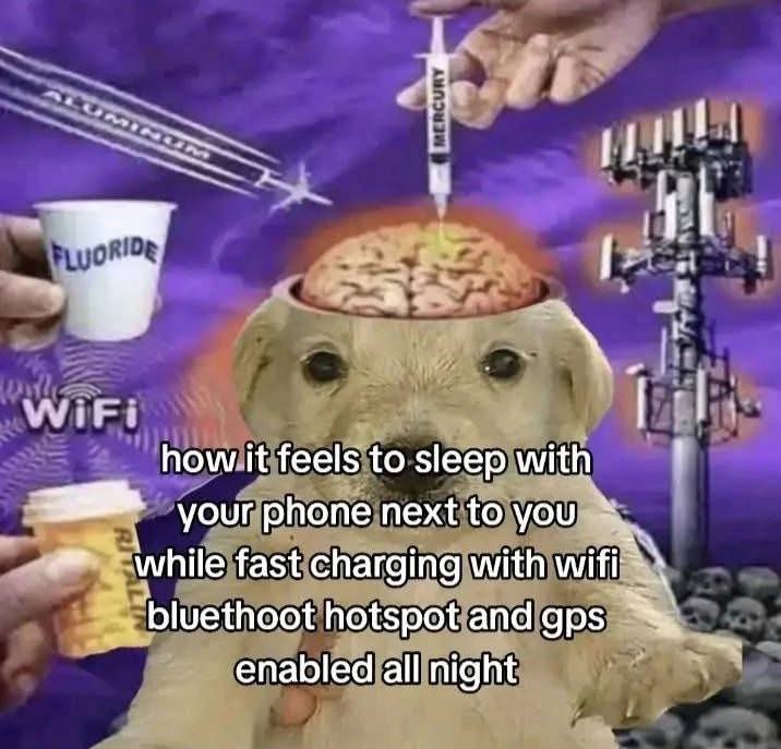 gn