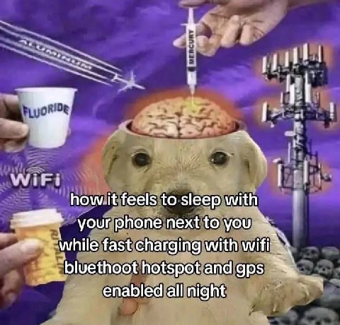 gn