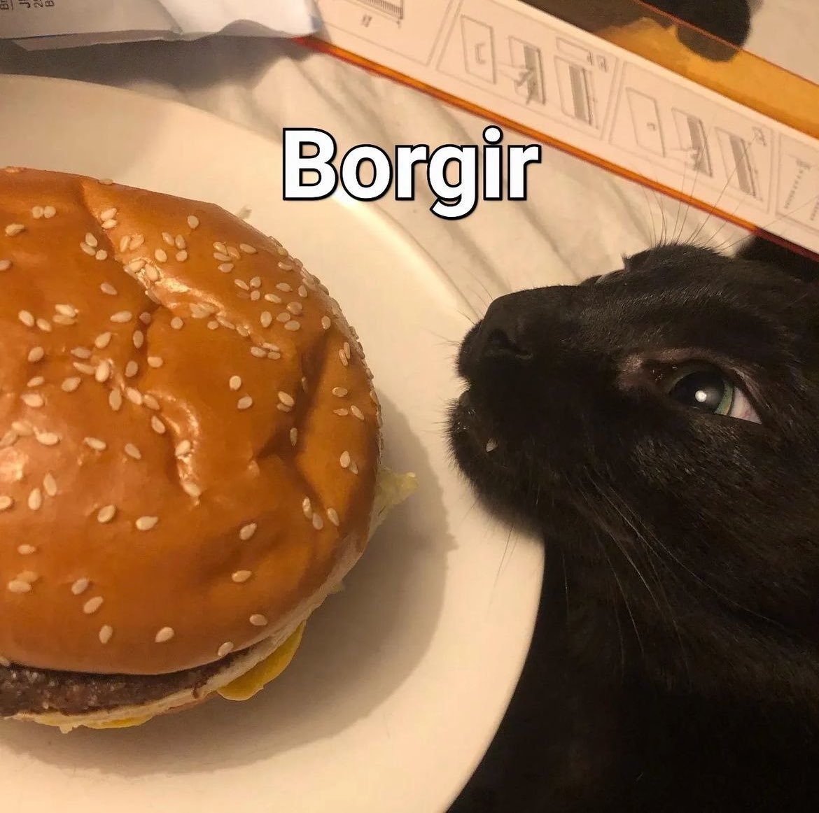 Borgir