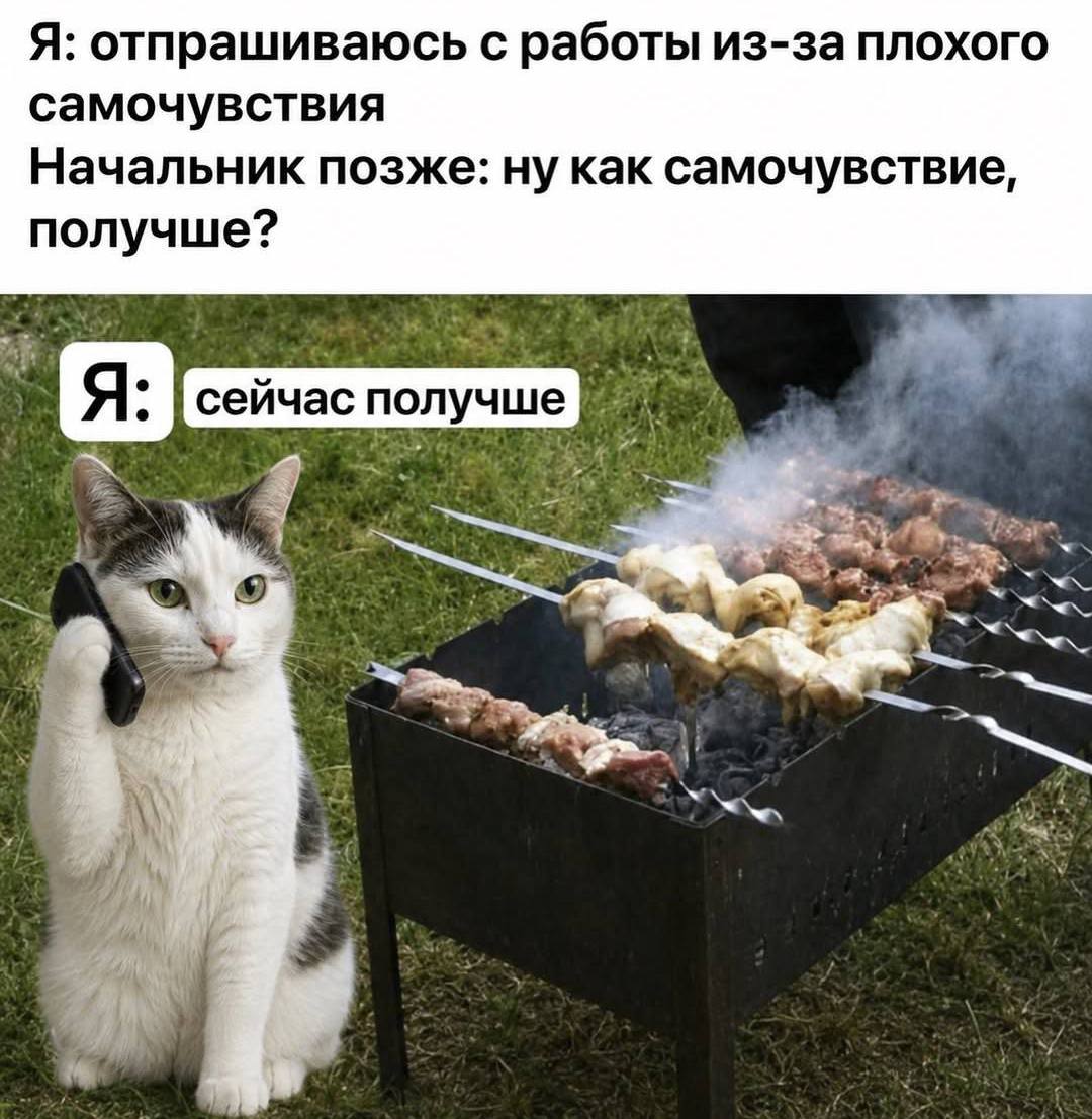 Я: отпрашиваюсь с работы из-за плохого самочувствия Начальник позже: ну как самочувствие, получше? Я: сейчас i
