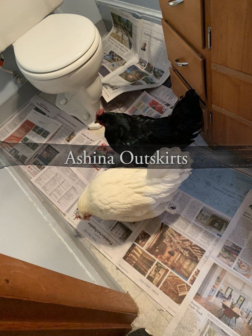 4 Ashina Outskirts