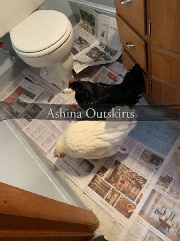 4 Ashina Outskirts