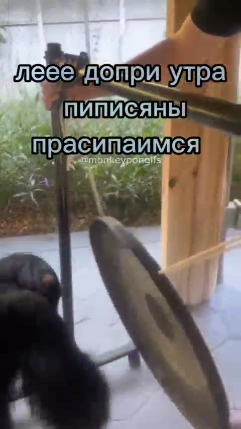 левее допри! Уупрат — прасипаимсява леее’доприхутра прасипаймея ПИПИСЯНЫ прасиптаймся к». 4 Б-@тойкеурсивиз леве{допризутрам Ра пИПИСЯм м и прасипаймся и ® прасипайимся