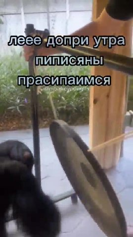 левее допри! Уупрат — прасипаимсява леее’доприхутра прасипаймея ПИПИСЯНЫ прасиптаймся к». 4 Б-@тойкеурсивиз леве{допризутрам Ра пИПИСЯм м и прасипаймся и ® прасипайимся