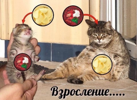 я 2\ чай A ХХХ]