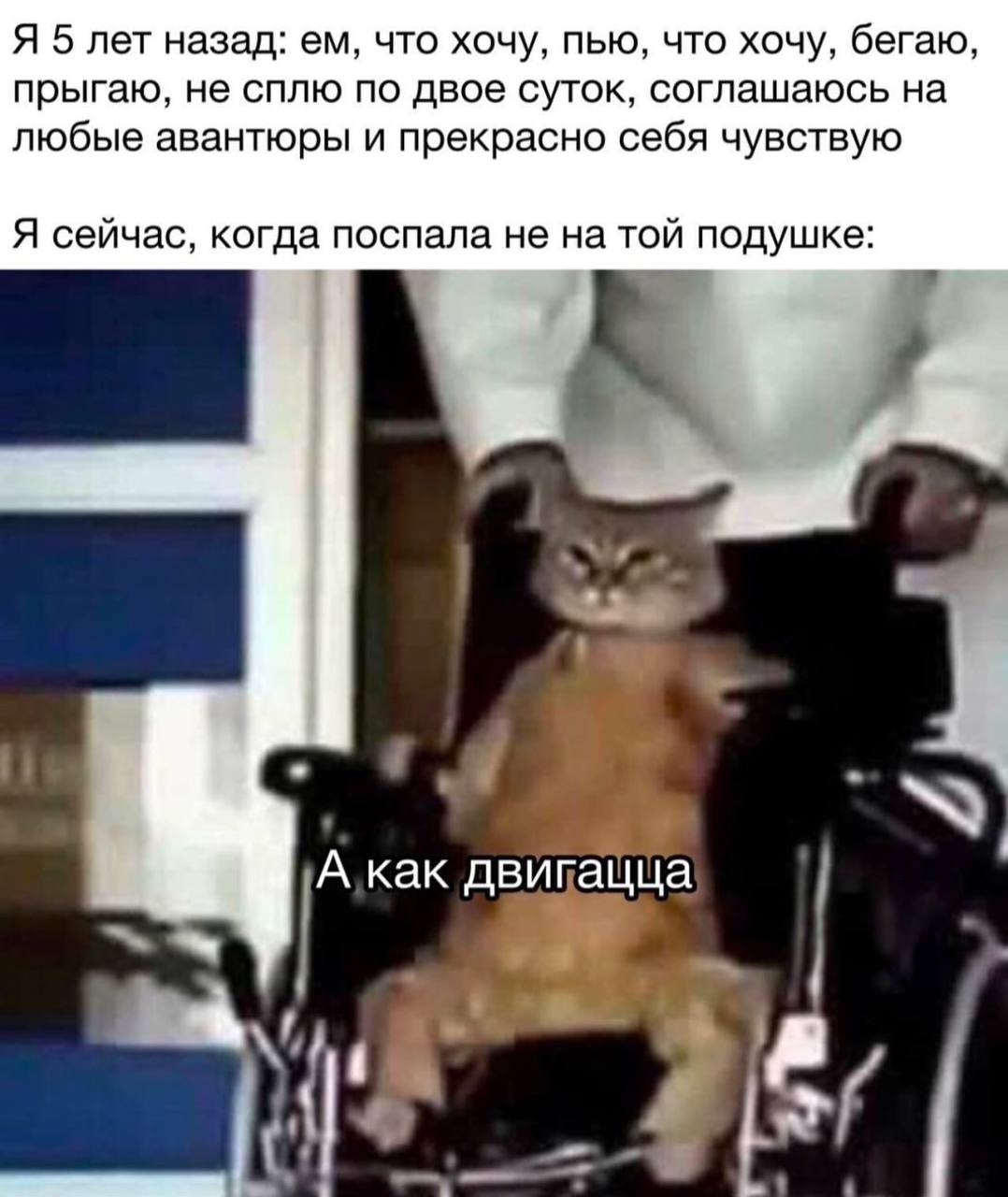Я 5 лет назад: что хочу, пью, что хочу, бегаю, прыгаю, не сплю по двое суток, соглашаюсь на любые авантюры и прекрасно себя чувствую Я сейчас, когда поспала не на той подушке: К A Kak двипащца