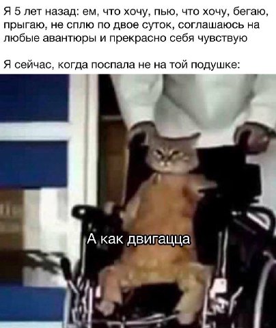 Я 5 лет назад: что хочу, пью, что хочу, бегаю, прыгаю, не сплю по двое суток, соглашаюсь на любые авантюры и прекрасно себя чувствую Я сейчас, когда поспала не на той подушке: К A Kak двипащца