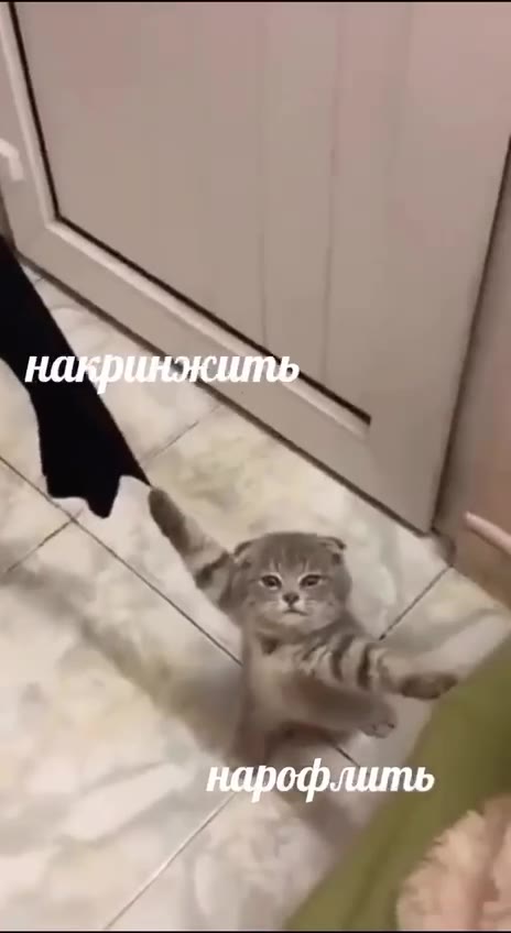арофлить ` профлить