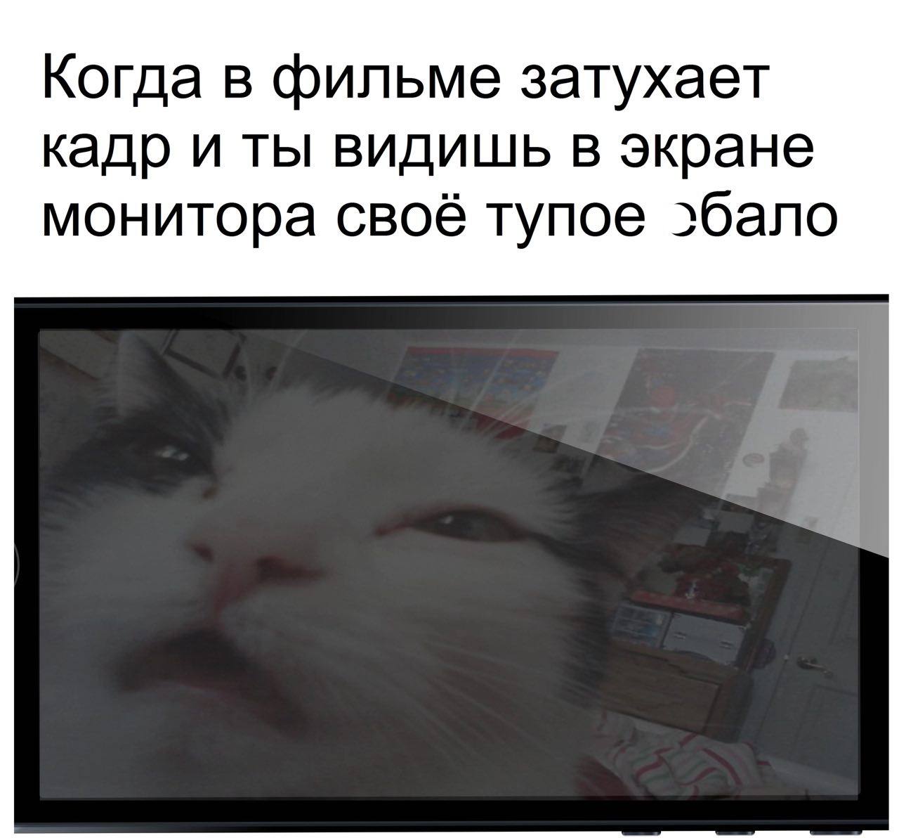 Когда в фильме затухает кадр и ты видишь в экране монитора своё тупое