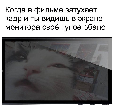 Когда в фильме затухает кадр и ты видишь в экране монитора своё тупое