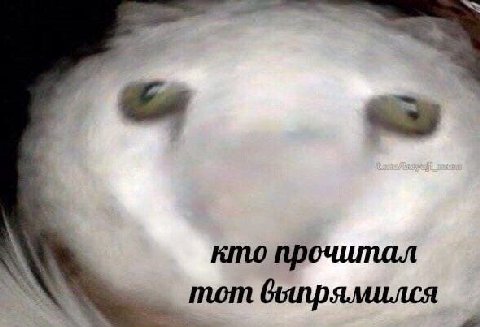 кто прочитал тот выпрямился
