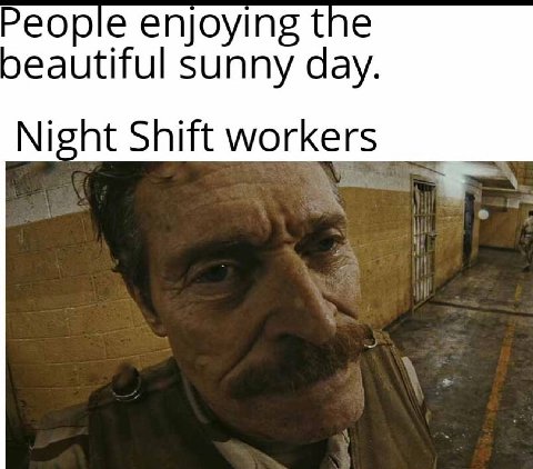 People enjoying the sunny day. Night Shift