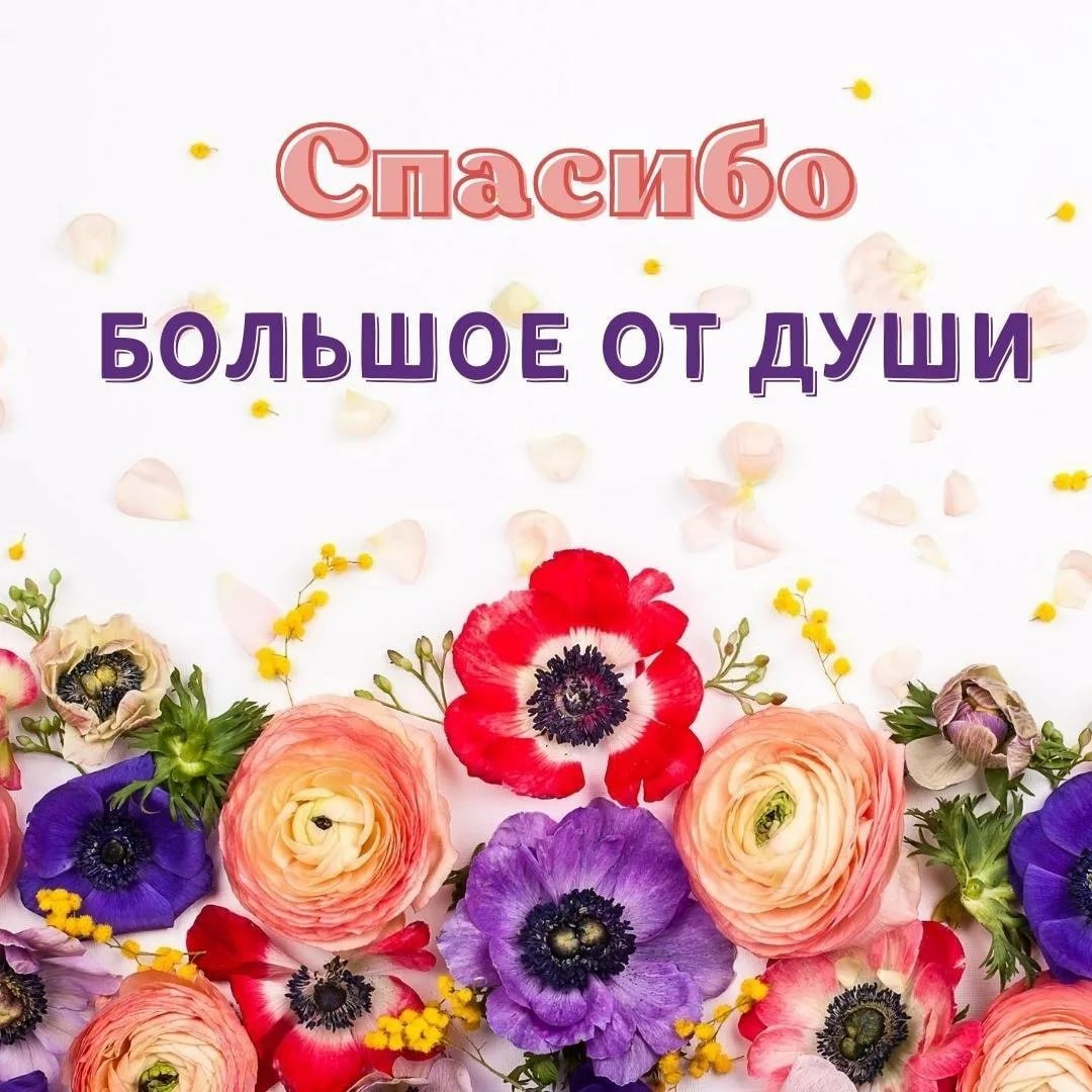 БОЛЬШОЕ ДУШИ