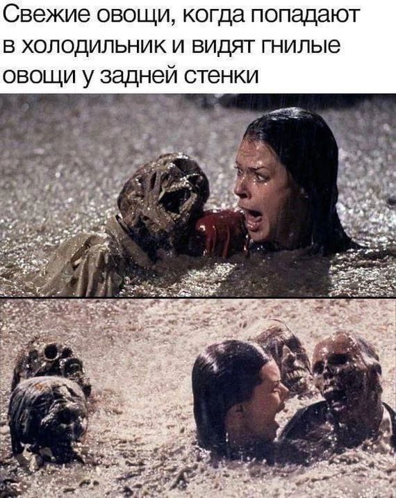 Свежие овощи, когда попадают в холодильник и видят гнилые овощи у заднеи стенки 3 7. 4 a 2 AS И 8 к
