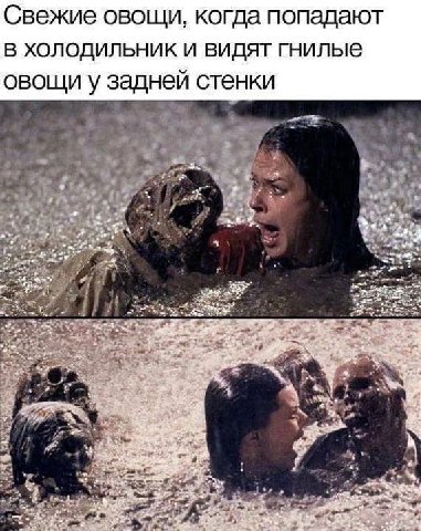 Свежие овощи, когда попадают в холодильник и видят гнилые овощи у заднеи стенки 3 7. 4 a 2 AS И 8 к