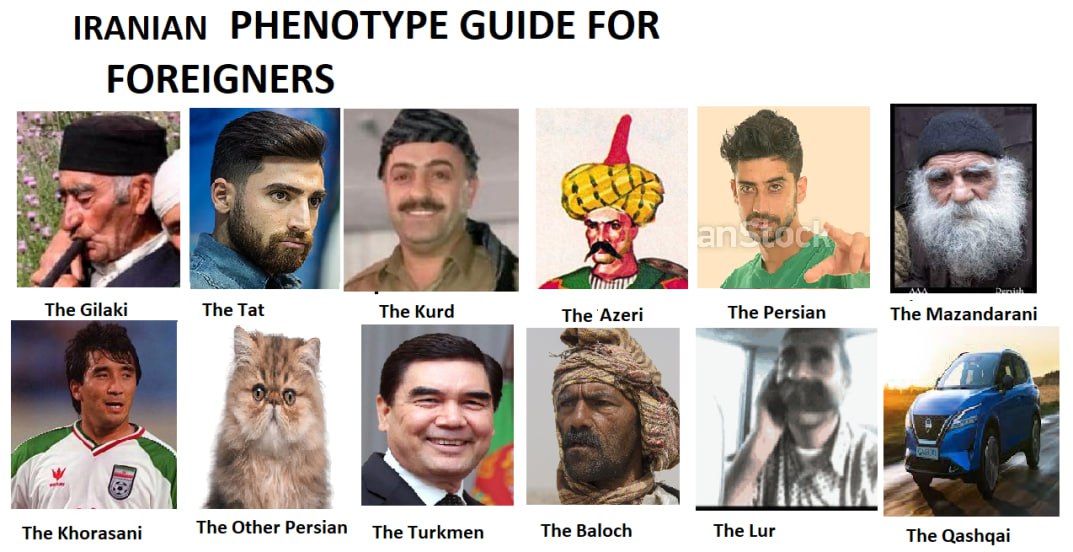 IRANIAN PHENOTYPE GUIDE FOR FOREIGNERS 2 A к The Gilaki The Tat The Kurd The ‘Azeri The Persian The Mazandarani SAY The Khorasani The Other The Turkmen The Baloch The Lur The Qashqai