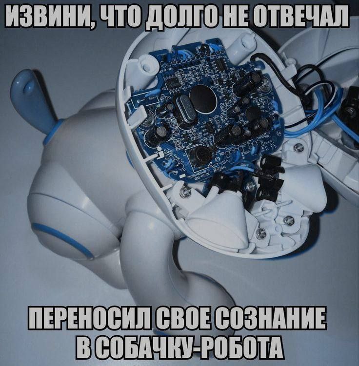 ИЗВИНИ, ЧТО ДОЛГО HE ОТВЕЧАЛ ПЕРЕНОСИЛ CBOE СОЗНАНИЕ В СОБАЧКУ-Р BOTA
