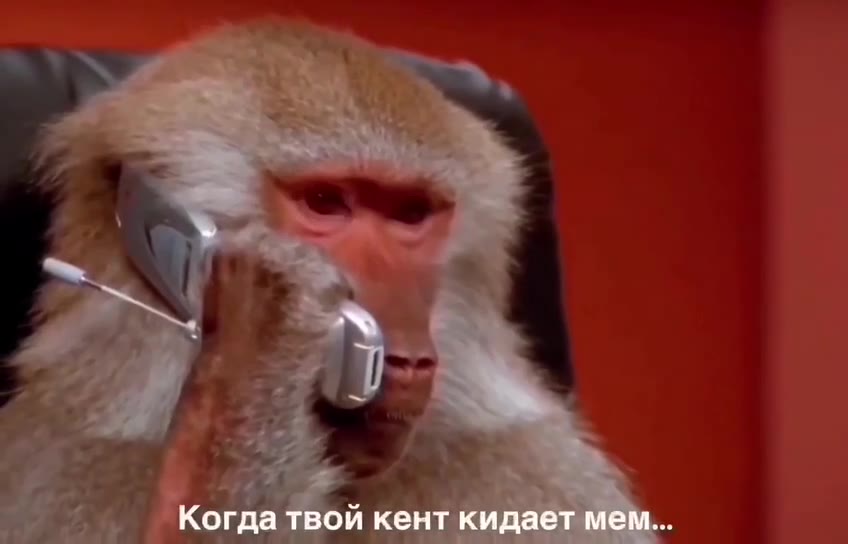 Когда О кен` a