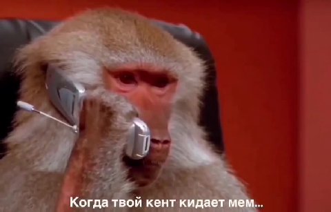 Когда О кен` a