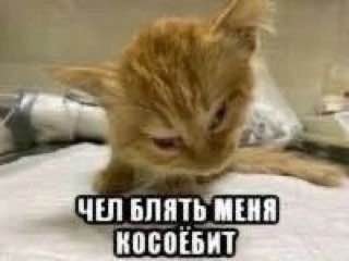 ЧЕЛ БЛЯТЬ МЕНЯ КОСОЕБИТ