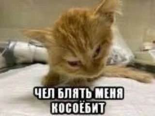 ЧЕЛ БЛЯТЬ МЕНЯ КОСОЕБИТ