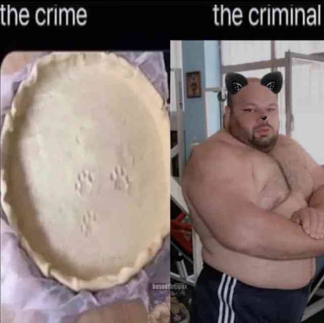 the crime the criminal