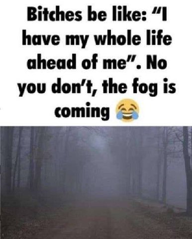 Bitches be like: “I have my whole life ahead of me”. No you don’t, the fog is coming