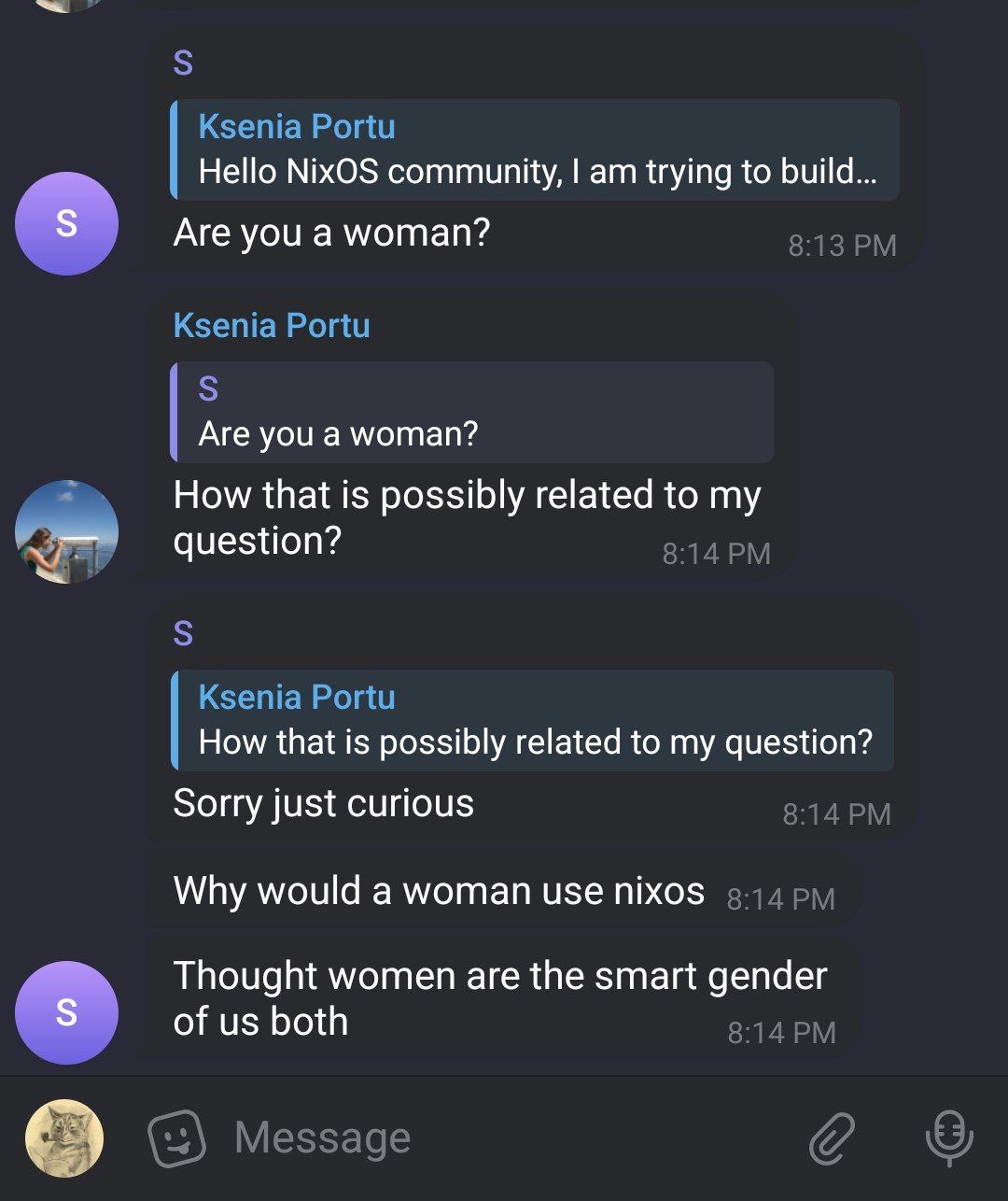 the fuck is happening in nixos chat
