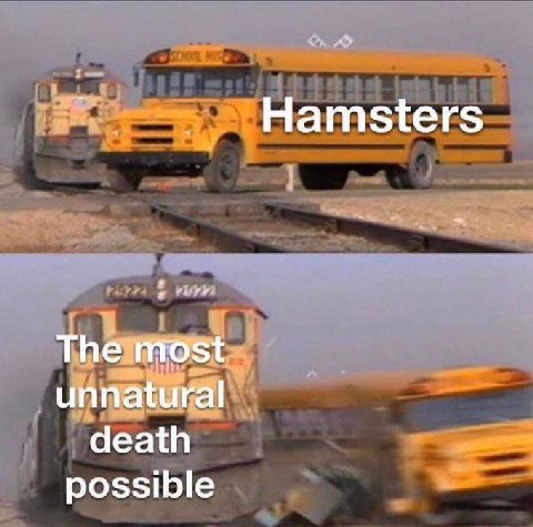 Hamsters The most unnatural death possible