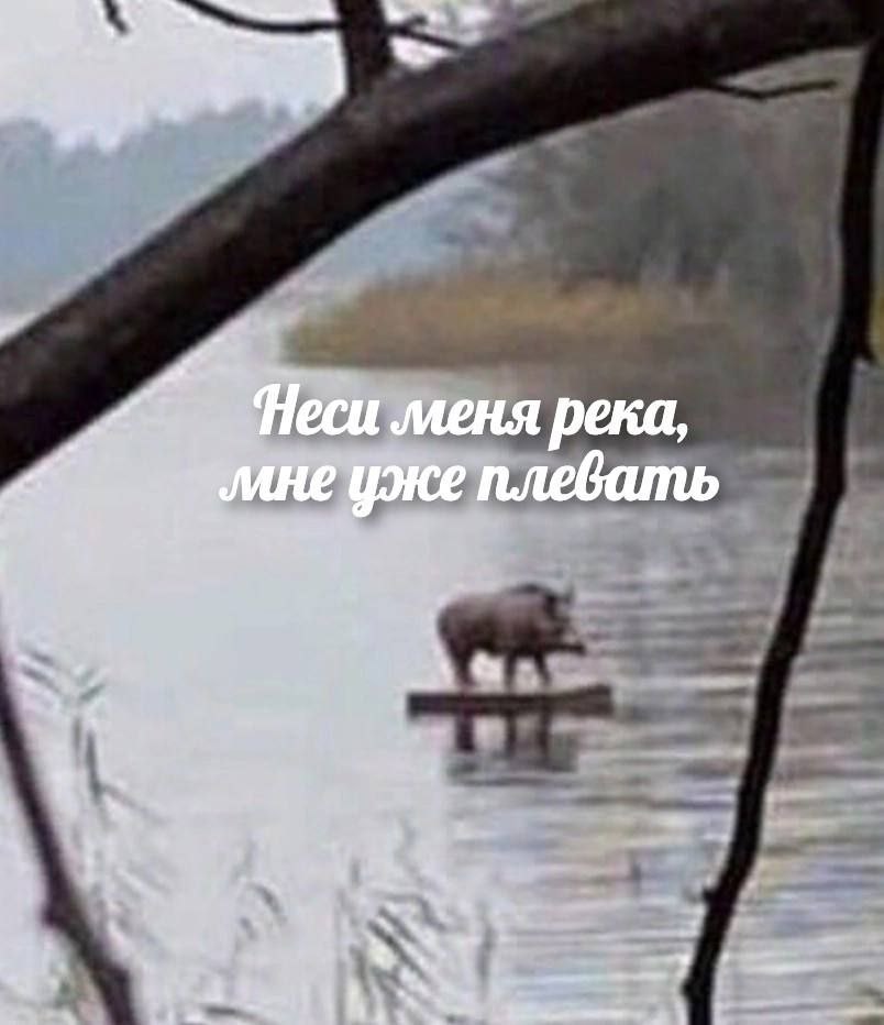Неси меня река, 1 плевать 2,
