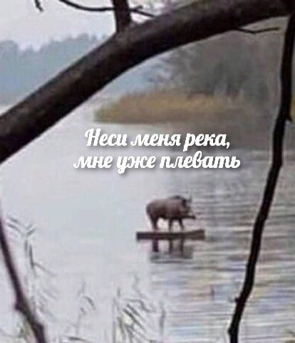 Неси меня река, 1 плевать 2,