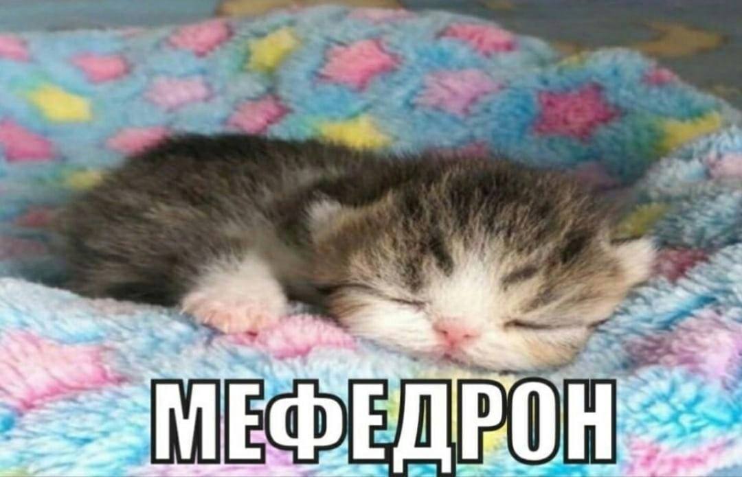 МЕФЕДРО