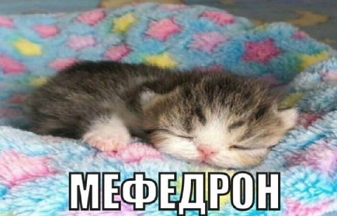 МЕФЕДРО