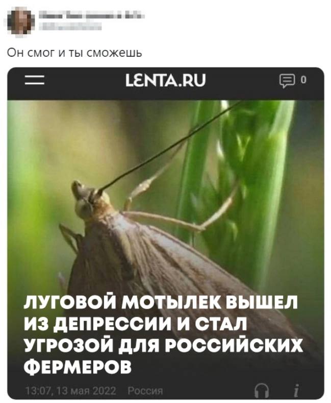 Он смог и ты сможешь LENTA.RU о ЛУГОВОЙ МОТЫЛЕК ВЫШЕЛ ИЗ ДЕПРЕССИИ И СТАЛ УГРОЗОЙ ДЛЯ РОССИЙСКИХ ФЕРМЕРОВ