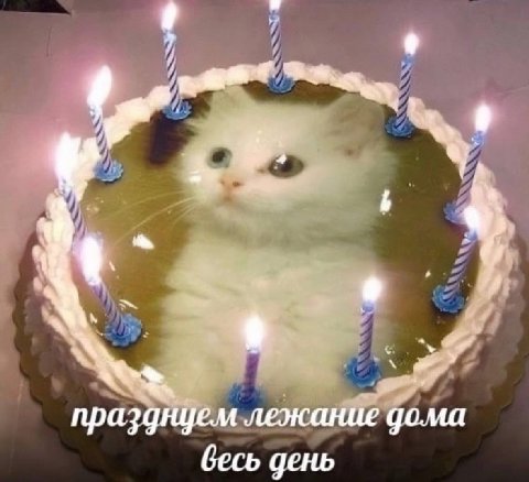 празднцем лежание дома бесь день
