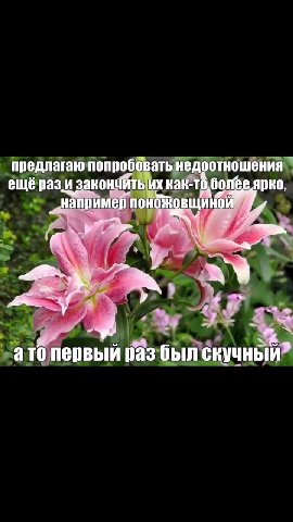 предлагаю попроббвать недротношения" ещёразии закончйтьих как`то)болёеярко, > «например поножовщиной om ‚атопервый разбыл СКУЧНЫЙ предлагаю попроббв атьнедоотношения”