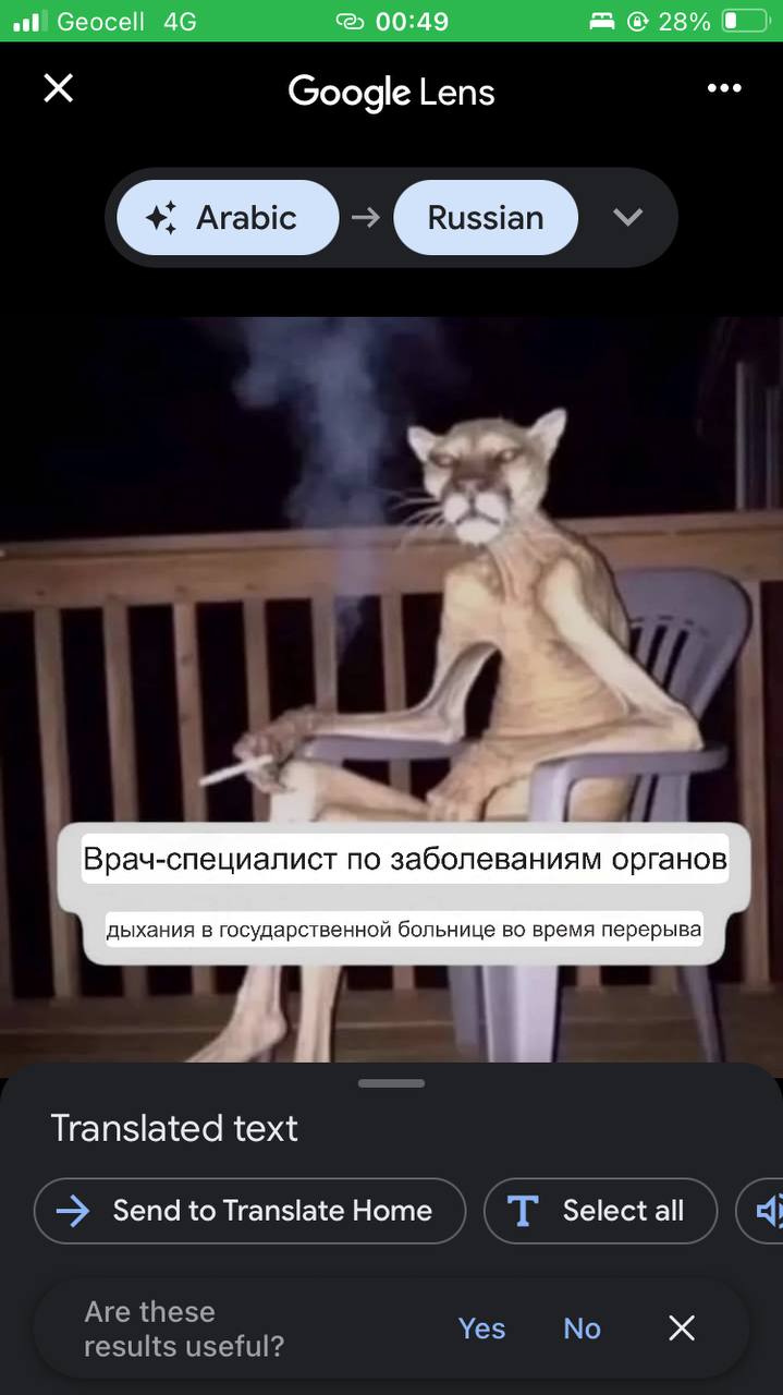 Сеосе! 00:49 28% Google Lens Yee 4 “oad Врач-специалист по заболеваниям органов дыхания в государственной больнице во время перерыва Translated text Send to Translate Home Select all Yes