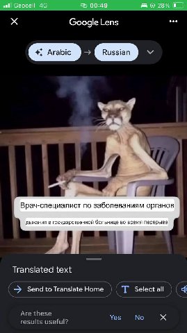 Сеосе! 00:49 28% Google Lens Yee 4 “oad Врач-специалист по заболеваниям органов дыхания в государственной больнице во время перерыва Translated text Send to Translate Home Select all Yes