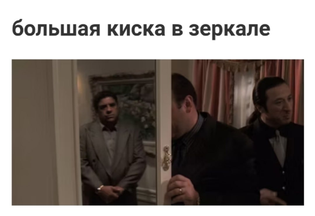 большая киска в зеркале