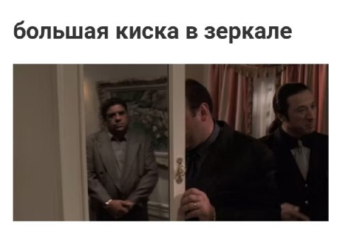 большая киска в зеркале
