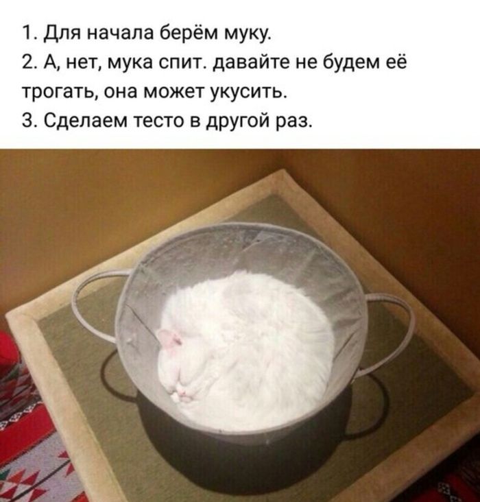 1. Для начала берём муку. 2. А, нет, мука спит. давайте не будем её трогать, она может укусить. 3. Сделаем тесто в другой раз.