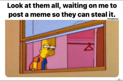 Look at them all, waiting me to post a meme so they can steal it.