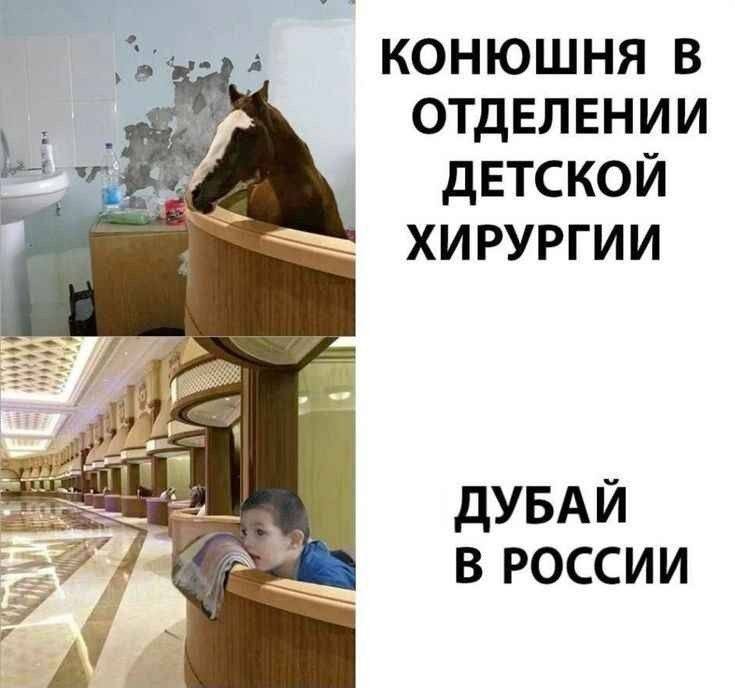 a КОНЮШНЯ В ОТДЕЛЕНИИ ДЕТСКОЙ ХИРУРГИИ ДУБАЙ 7 В РОССИИ
