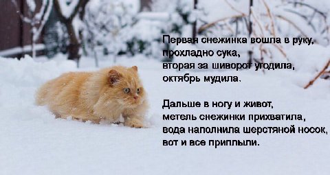 у 7 a я 2. ервая снежинка вошла в охладно сука, a вторая за шивор Yronuna, октябрь мудила. Дальше в ногу и живот, метель снежинки прихватила, вода наполнила шерстяной носок, вот и все приплыли.