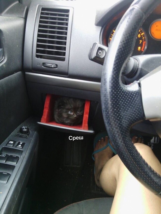 Среш