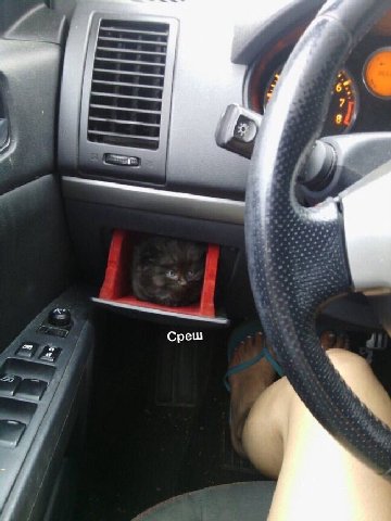 Среш