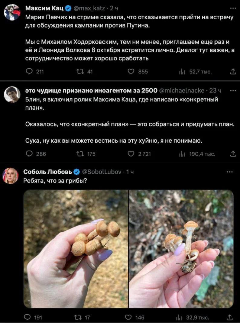 Максим Кац @max 24 Мария Певчих на стриме сказала, что отказывается прийти встречу для обсуждения кампании против Путина. Мы с Михаилом Ходорковским, тем ни менее, приглашаем еще рази её и Леонида Вол